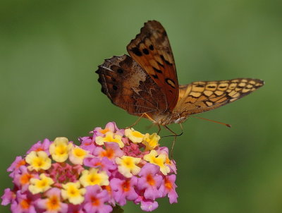 DSC_9364.jpg