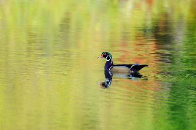 D35_9891.jpg