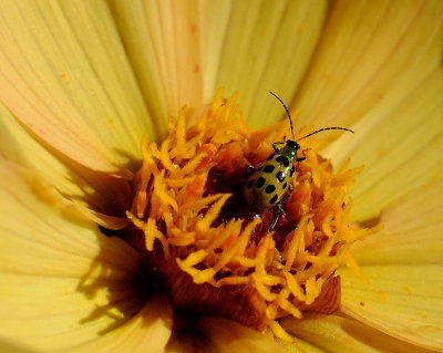 D36_0684.jpg