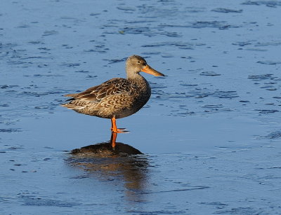 D36_3498.jpg
