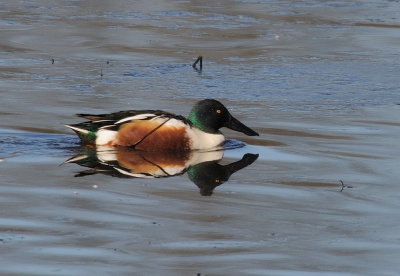D36_3525.jpg