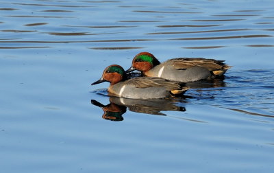 D36_3543.jpg
