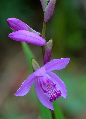 DSC_7324.jpg