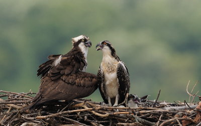 D37_7055.jpg