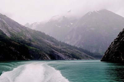 D37_8297.JPG