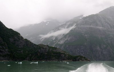 D37_8474.JPG