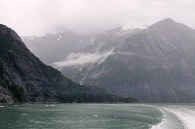 D37_8478.JPG
