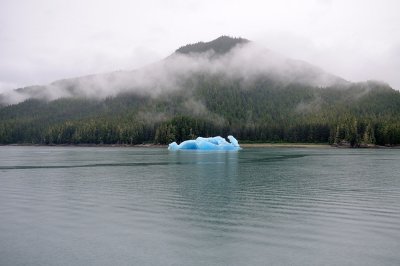 D37_8481.JPG