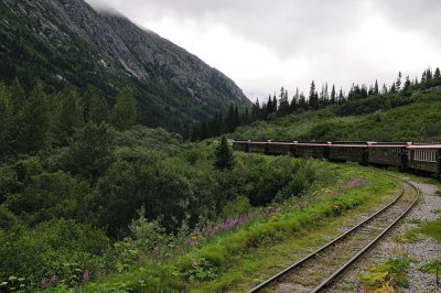 D37_8578.JPG
