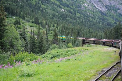 D37_8586.JPG