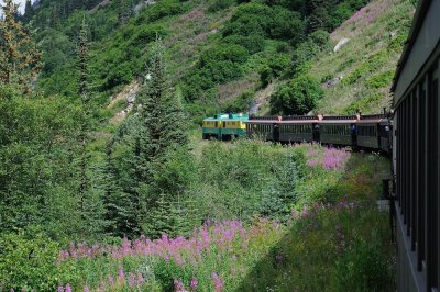 D37_8609.JPG