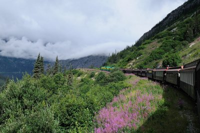 D37_8615.JPG