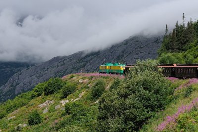 D37_8619.JPG