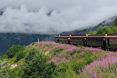 D37_8622.JPG