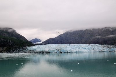 D37_8847.JPG