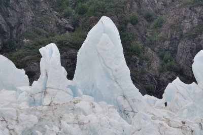 D37_8919.JPG