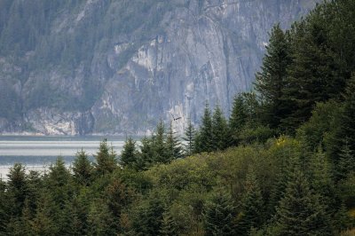 D37_9097.JPG
