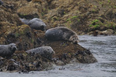 D37_9339.JPG