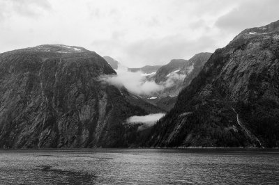 D37_8262 BW.JPG