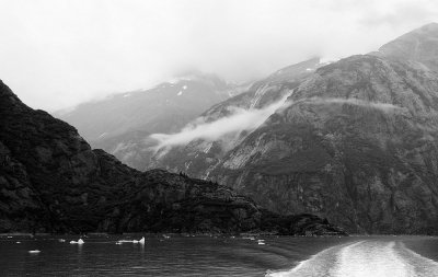 D37_8474.JPG