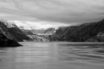 D37_9011 BW.JPG