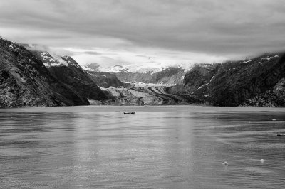 D37_9016 BW.JPG