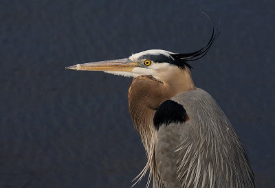 D38_4048.jpg