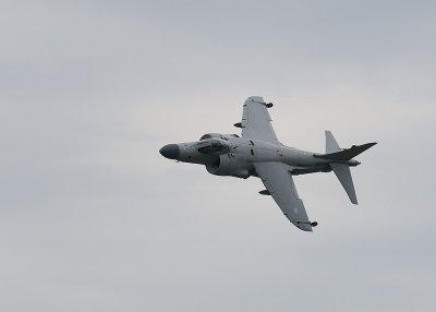 D38_4812.jpg
