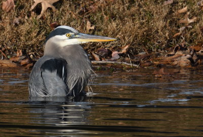 D50_0153.jpg