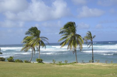 _dsc6959.jpg