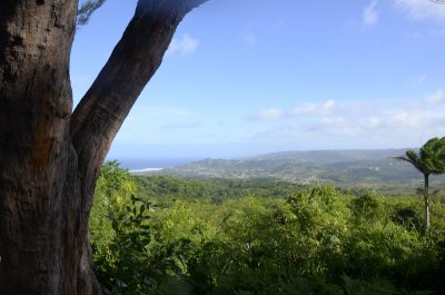 _dsc7035.jpg