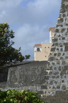 _dsc5568.jpg