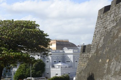 _dsc5585.jpg