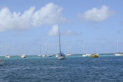 _DSC4867.JPG