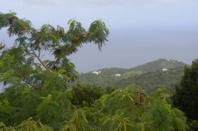_DSC5828.JPG