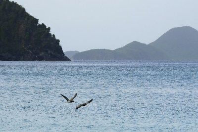 _DSC5857.JPG