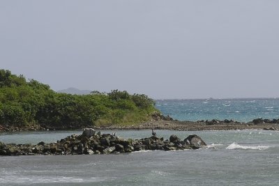 _DSC5962.JPG