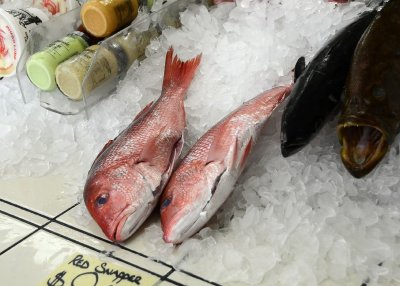 He bought fresh fish at the market. . .