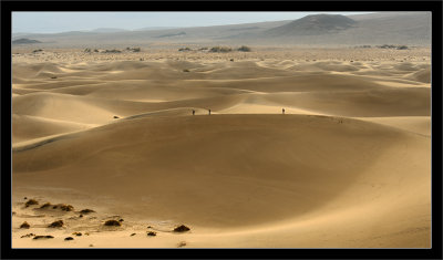 Morning Walk on Sand Dunes
