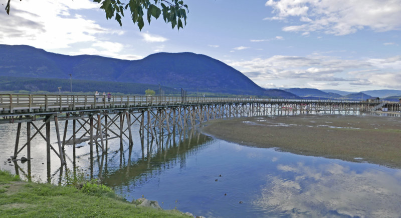 Curved Jetty.jpg