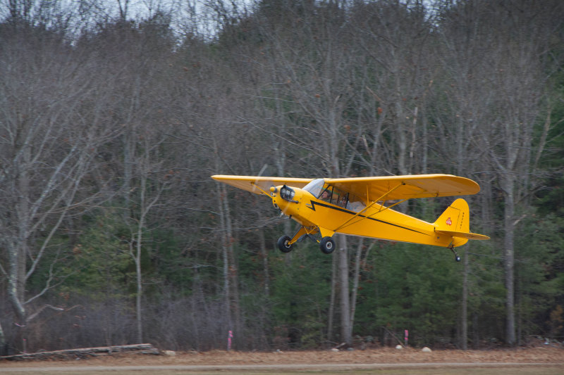 IMG_8655.jpg