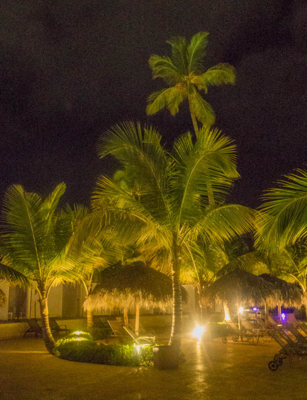 Punta Cana 2016-41.jpg