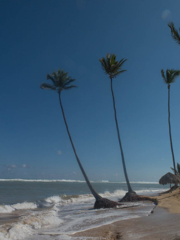Punta Cana 2016-77.jpg
