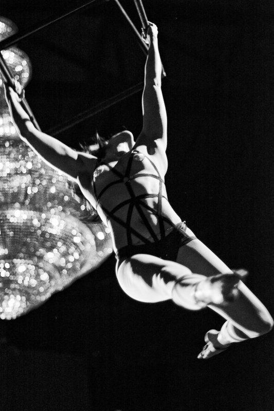 Ariel Airhart Prohibition Provocateur
