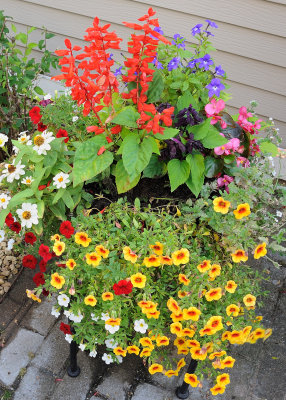 Shirley's Flowers