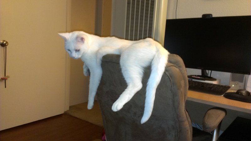 IMAG0091.jpg