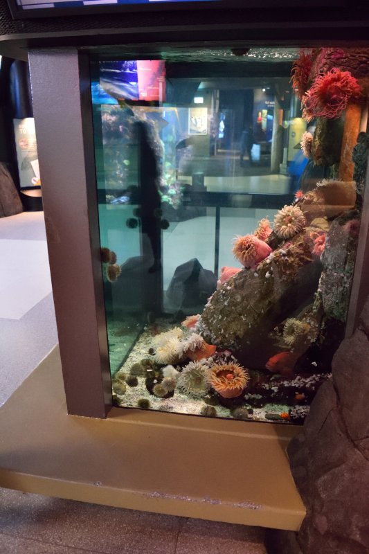 Vancouver Aquarium