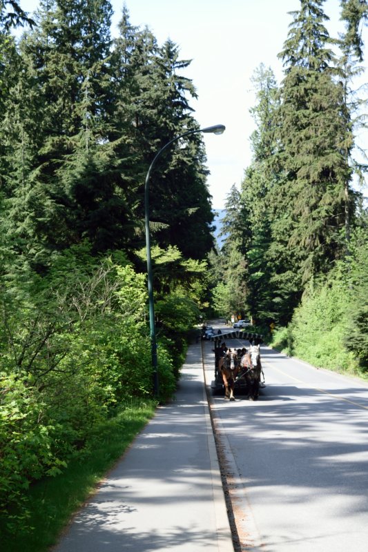 Cariiage Ride