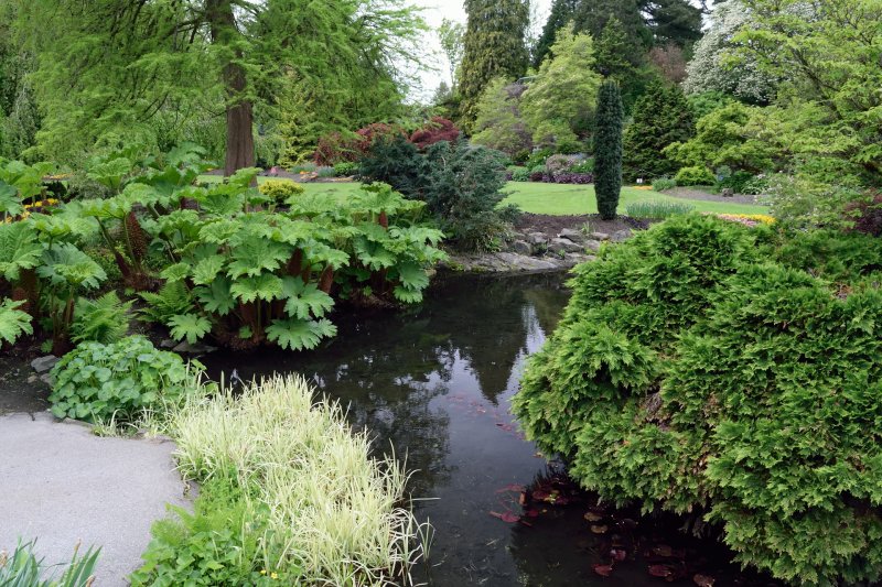 Large Quarry Garden