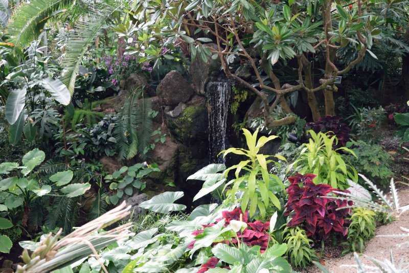Bloedel Conservatory